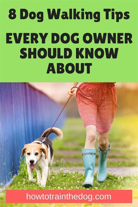 8 Dog Walking Tips (Every Dog Owner Should Know About) | Dog owners ...