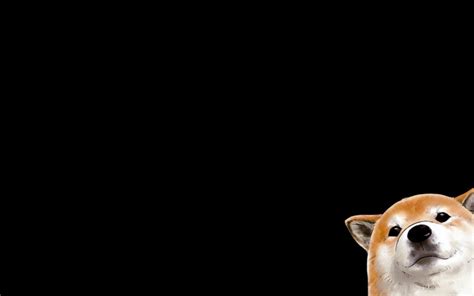 dogs, Corgi, Black, Background Wallpapers HD / Desktop and Mobile ...