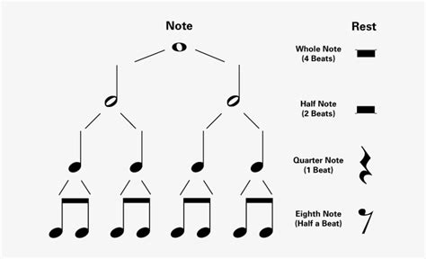 Half Rest Symbol Download - Piano Note Values Chart - Free Transparent ...