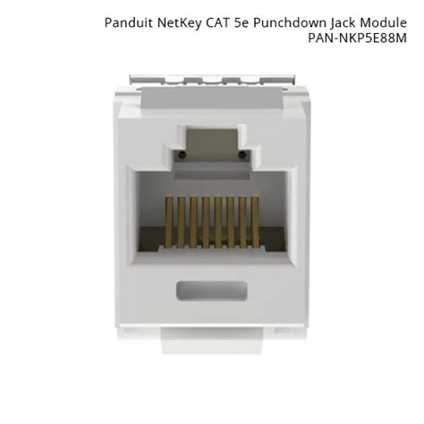 CAT 5e & CAT 6 NetK Modules - Cableorganizer.com