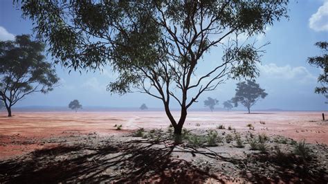 African savanna landscape with acacia trees 7538702 Stock Video at Vecteezy