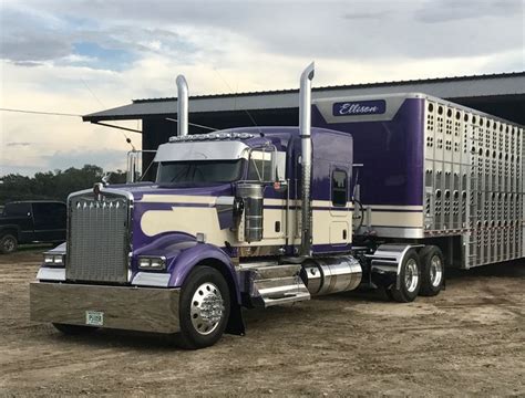 Kenworth W900 | Big rig trucks, Cattle trailers, Big trucks