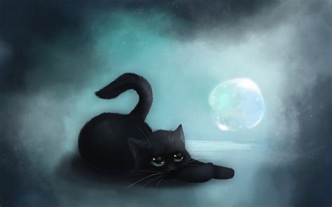 black cat art illustration wallpaper