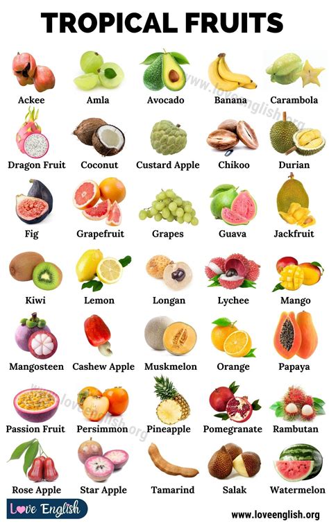 Tropical fruits list! Tropical fruit is a type of fruits that includes ...