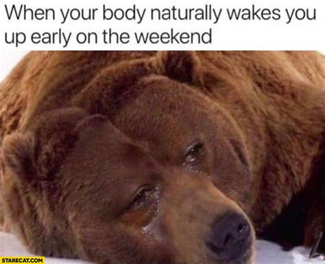 When your body naturally wakes you up on the weekend sad bear crying ...