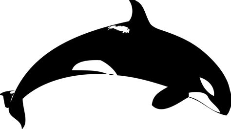 Orca Whale Clipart | Free download on ClipArtMag