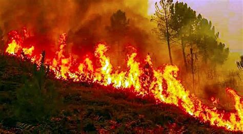 HP forest dept prepares fire mapping system to control forest fires ...