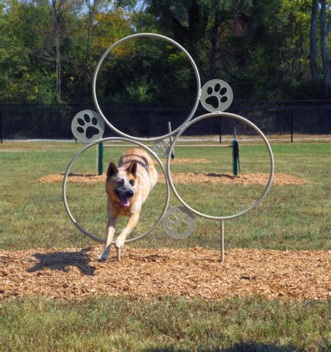 Dog Park Playground Equipment | Bliss Products and Services ...