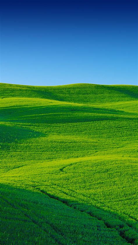 79 Green Landscape Wallpaper Hd Pics - MyWeb