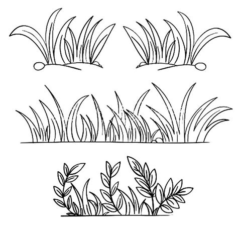 Printable Grass Coloring Pages - LibertyropMcneil