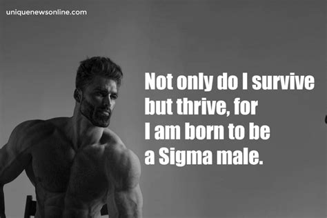 65+ Best Sigma Male Quotes in 2024