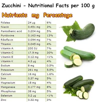 Properties and Benefits of Zucchini – NatureWord