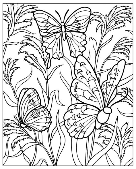 Download 43+ Insects Butterfly Coloring Pages PNG PDF File - Download ...