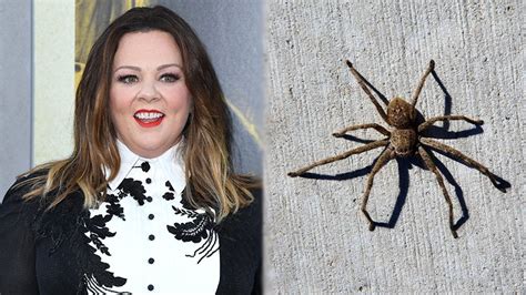 Melissa McCarthy hospitalised following terrifying Huntsman spider bite ...