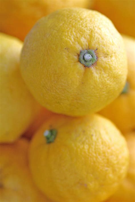 home-grown yuzu | How to squeeze lemons, Color, Fruits and veggies