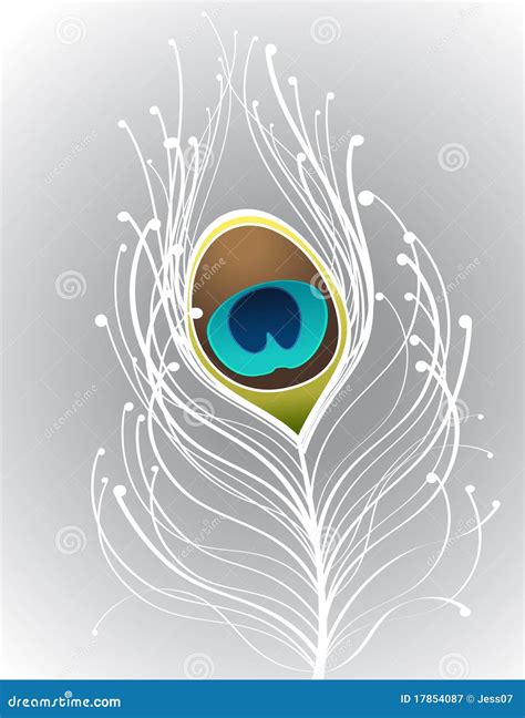 White Peacock Feather Stock Image | CartoonDealer.com #17854087