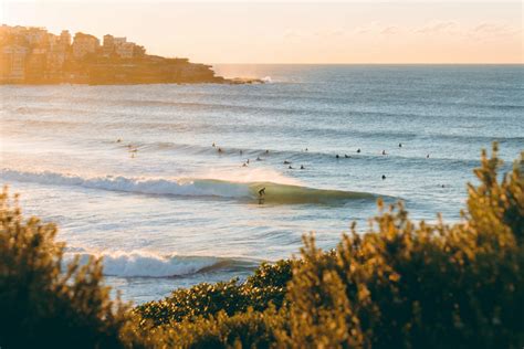 The Big Red of Bondi