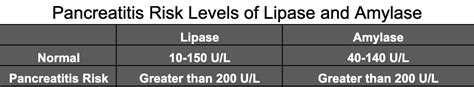 Amylase and Lipase Risks: Pancreatitis, Digestive Issues and More