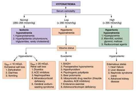 Hyponatremia Causes Algorithm