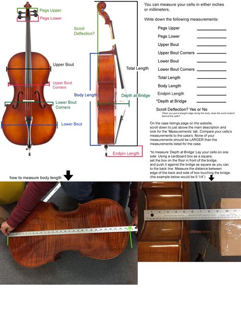 Cello Case Accord Standard - Linda West Cellos