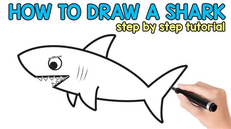 How to Draw a Shark Step By Step - tutorial with free printable - YouTube