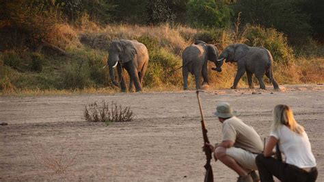 Ruaha national park Tanzania | Tanzania wildlife Safaris | Tanzania Tours