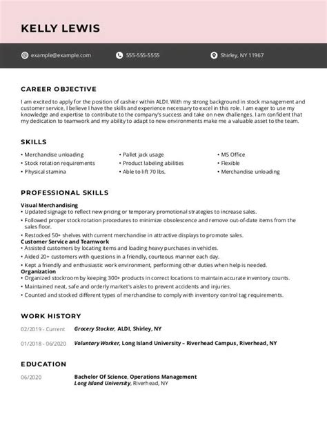 60+ Resume Objective Examples for All Jobs