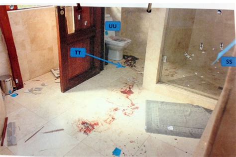 Shocking PHOTOS Emerge Of Oscar Pistorius Crime Scene [GRAPHIC IMAGES ...