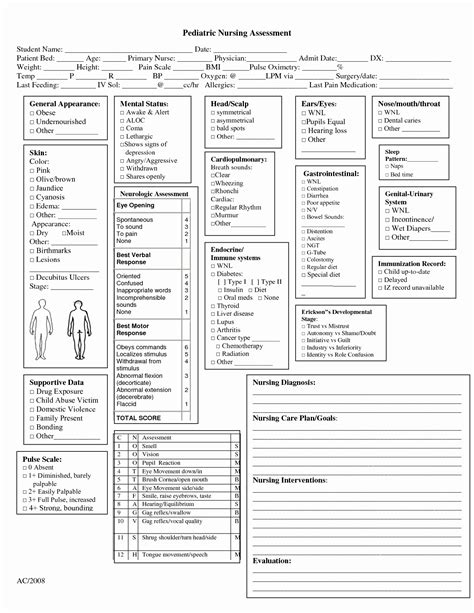 Printable Head To Toe Assessment Form Pdf Fill Online Printable ...