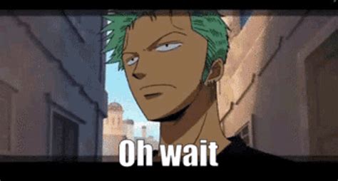 Zoro Zoro Lost GIF – Zoro Zoro Lost One Piece – discover and share GIFs