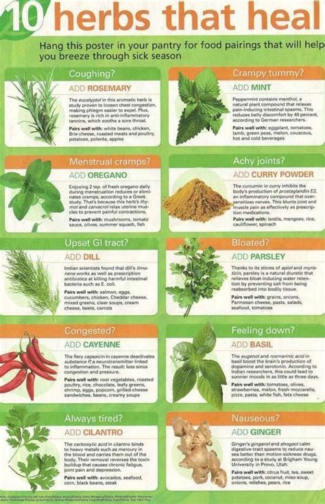 Herbs that Heal | Healing herbs, Herbs