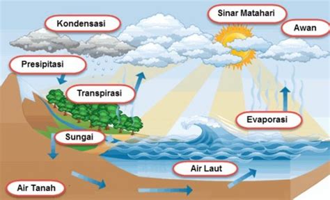 Tahapan Proses Siklus Air Hujan - IMAGESEE