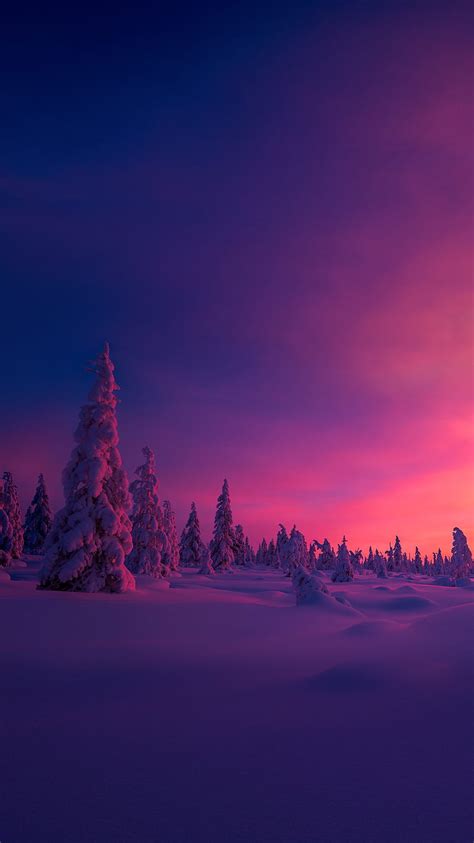 Winter Sunset, snow, HD phone wallpaper | Peakpx