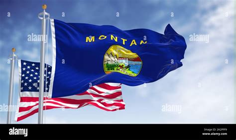 The Montana state flag waving along with the national flag of the ...