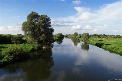 Warta | River Warta near the town of Warta, Poland | JoannaRB2009 | Flickr