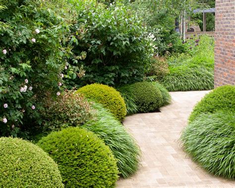 Landscaping with evergreens: 9 ways to use in garden design | Homes ...