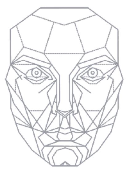 Golden Ratio Face Template Transparent Perfect Face Template Png ...