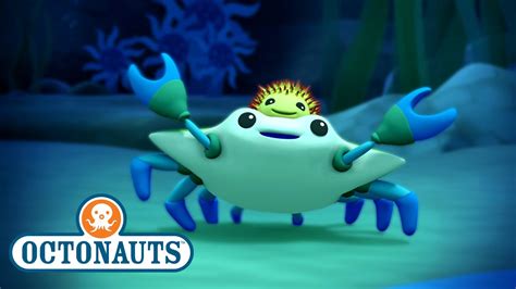 @Octonauts - The Crab & Urchin | Full Episode 18 | @Kidzuko - YouTube