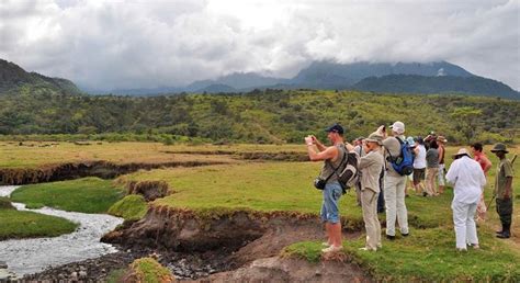 Arusha National Park Tour - Arusha | FREETOUR.com