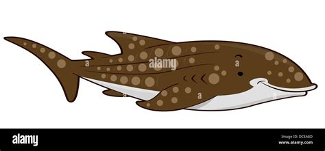 Illustration of a Whale Shark Stock Photo - Alamy