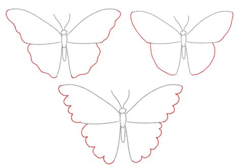 How to Draw a Butterfly | Design School