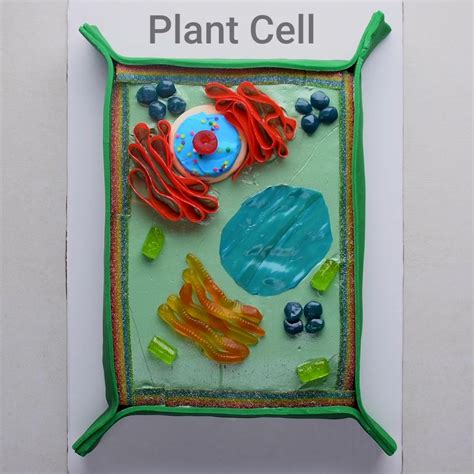 Edu-Cake Yourself With These 7 Cool Science Cakes | Plant cell cake ...