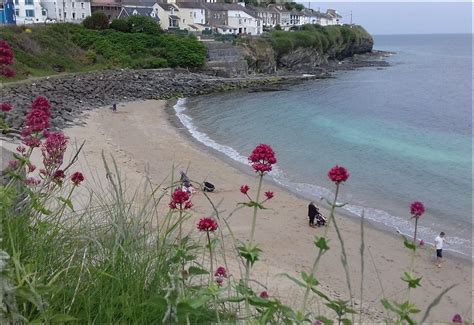 New Quay, West Wales - Holiday Cottages, Caravans, Wildlife, and much more.