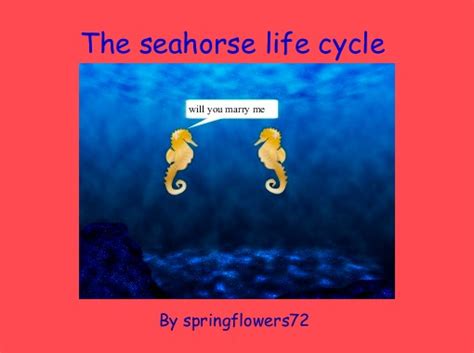 "The seahorse life cycle" - Free Books & Children's Stories Online ...