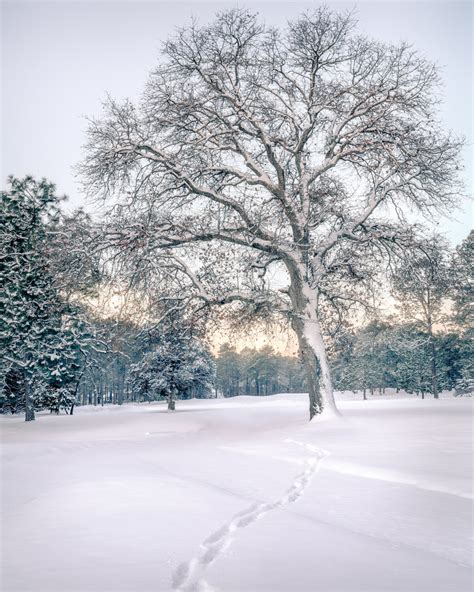 The Issue with Winter Landscape Photography — Mark Denney | Landscape ...