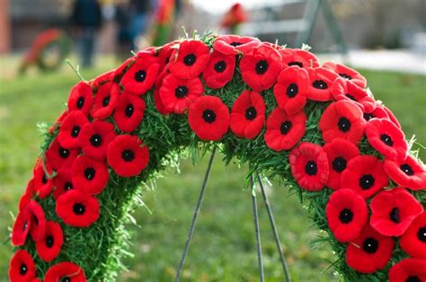 Memorial Day Poppies - Beneva Flowers