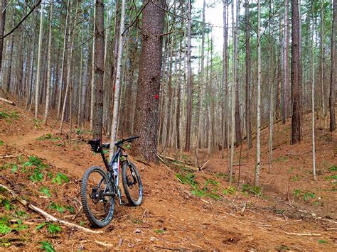 Lake James State Park Mountain Bike Trail in Nebo, North Carolina ...