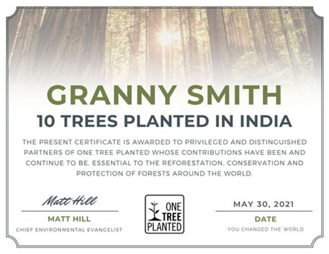 Plant Trees Where They're Needed Most | One Tree Planted