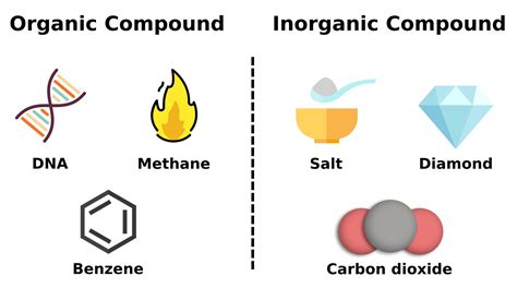 Organic & Inorganic Chemistry | The Difference Between Both