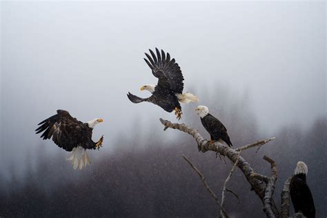 See Winners of National Geographic's Pictures of the Year Contest